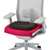 2608-R Happy Tush with Coccyx Cutout on chair thumbnail 2608-R Happy Tush with Coccyx Cutout on chair thumbnail